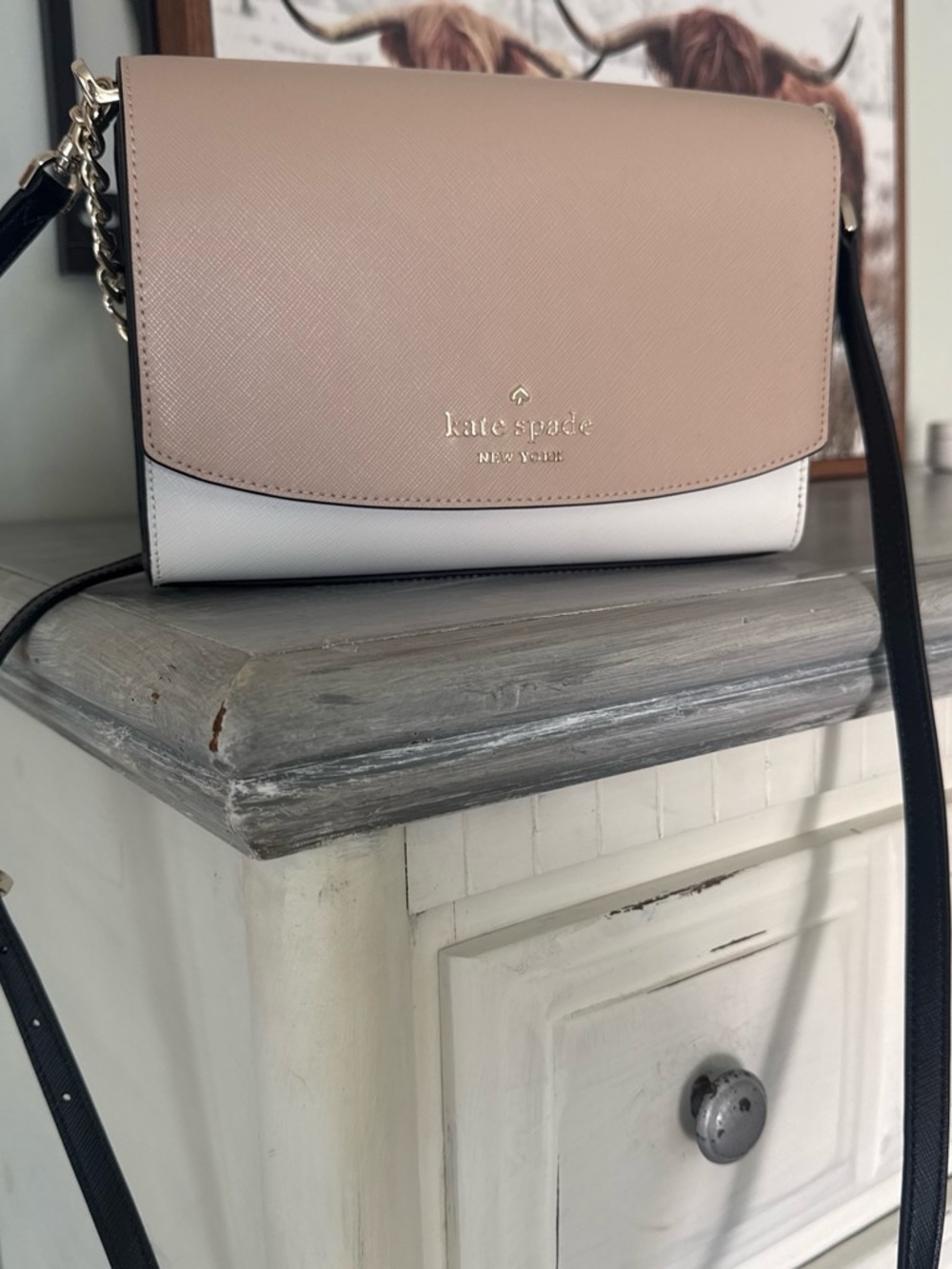 kate spade Two-Tone Crossbody in Blush Pink and White with Black Strap